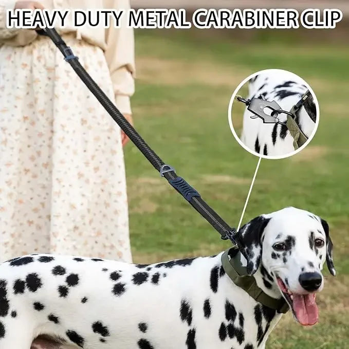 Reflective Tactical Bungee Dog Leash with Seatbelt