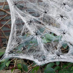 Halloween Decoration Party Accessories Decorations for Events Scream Festa Spider Web Black Outdoor Props Haunted House Spider Lootquake LLC