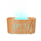 Map Humidifier Colorful Gradient Flame Aroma Diffuser Home Hotel Desktop USB Air Humidification Lootquake LLC
