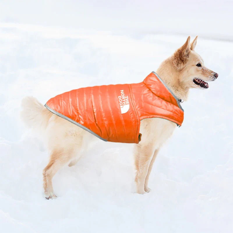 Double Sided Dog Coat Winter Warm Pet Dog Clothes For Small Medium Dogs Vest Chihuahua Clothing Soft Puppy Costumes Ropa Perro Lootquake LLC