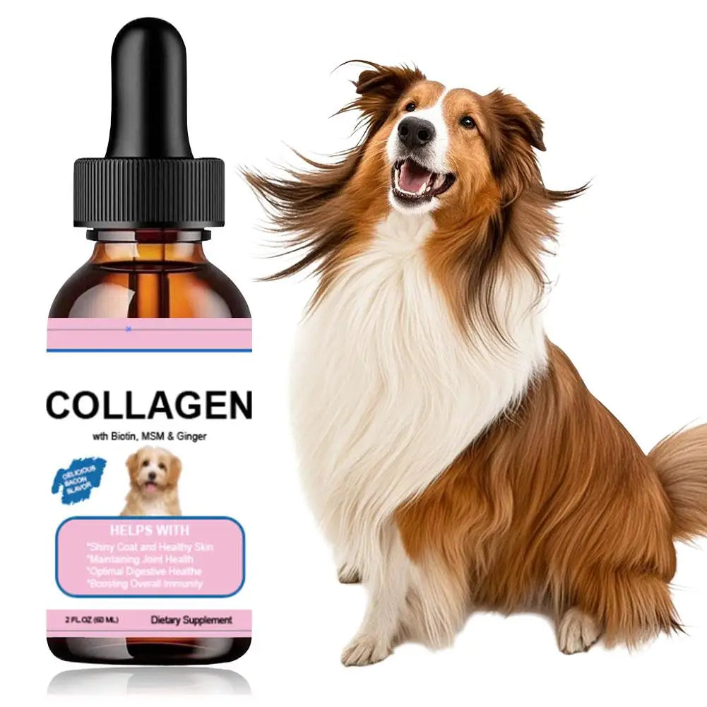 Pet Collagen Drops For Dogs And Cats Healthy Nutritional Supplement Protect Coat Enhance Body Condition Pet Nutritional Solution Lootquake LLC