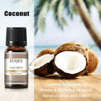 EUQEE 10ML Coconut Vanilla Bubble Gum Fragrance Oil For Making Candle, DIY Soap Coffee Cake Cedarwood Premium Aroma Oils Lootquake LLC