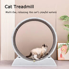 Purrfect Fit: Silent Cat Exercise Wheel