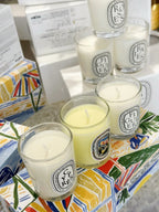 Aromatherapy Candle Natural Plant Scented Candles French Fragrance Fresh And Elegant Lasting Air Companion Aroma Gift Lootquake LLC