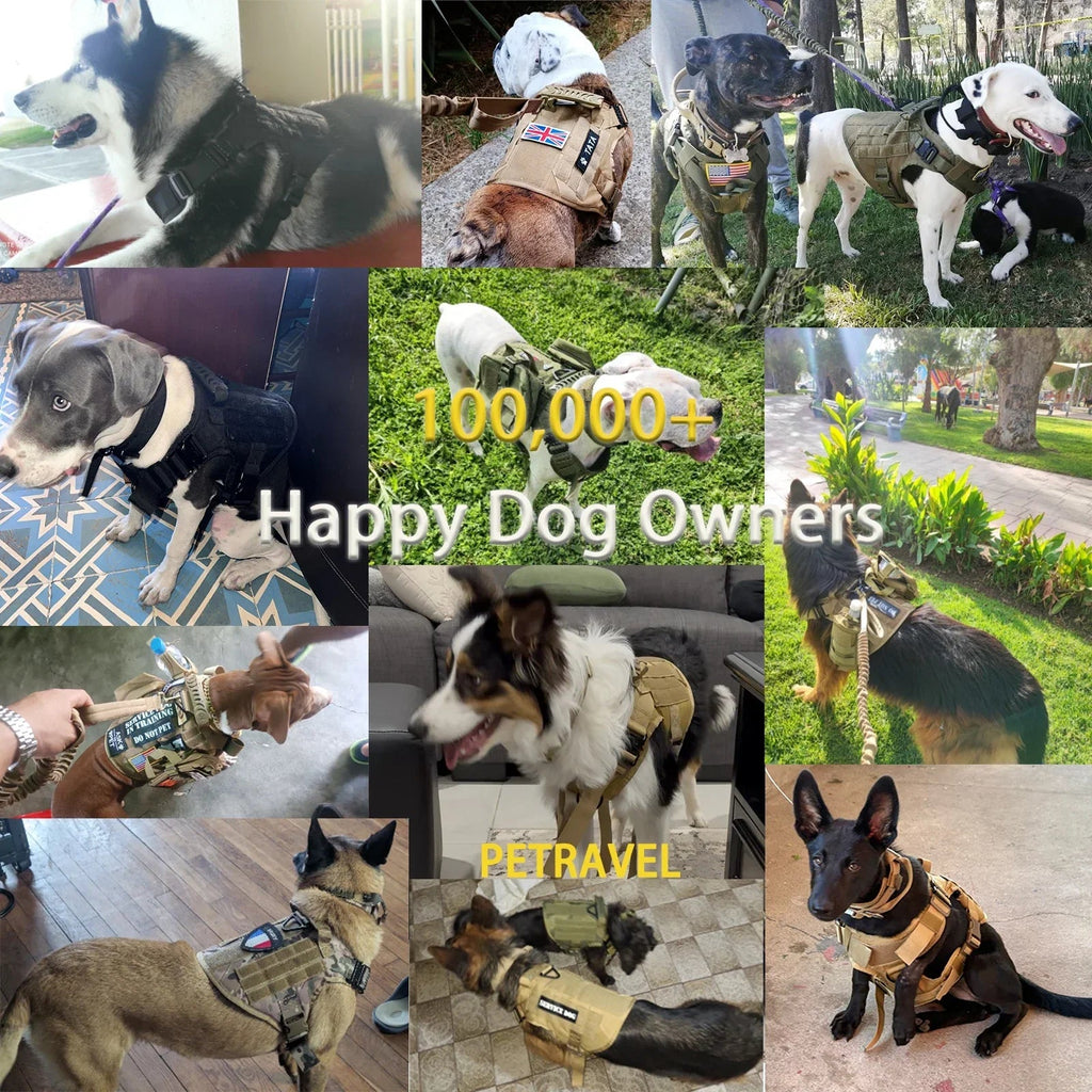 Ultimate Explorer Tactical Dog Harness & Leash Set Fashioned Furbabies