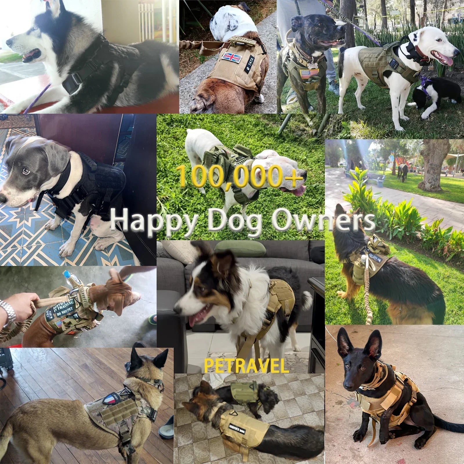 Ultimate Explorer Tactical Dog Harness & Leash Set Fashioned Furbabies