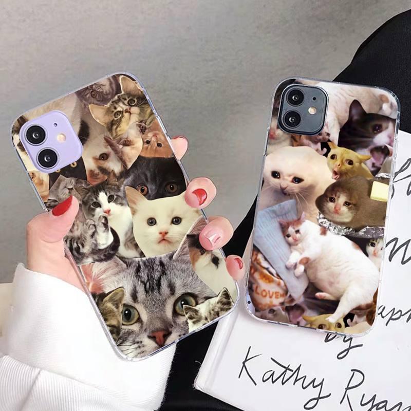 Crying Cat Memes Phone Case Mask Colorful Case For Cat Lovers For Iphone 7 And 8 In Moedern Design Stevvex