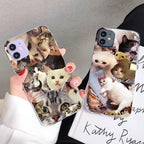 Crying Cat Memes Phone Case Mask Colorful Case For Cat Lovers For Iphone 7 And 8 In Moedern Design Stevvex