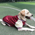 Big Dog Baseball Suit Fashioned Furbabies