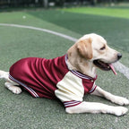 Big Dog Baseball Suit Fashioned Furbabies