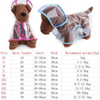 Pet Supplies Dog Raincoat Waterproof New Transparent Plastic Fashion Poncho Personalized Color Edge Costumes for Large Dogs Lootquake LLC
