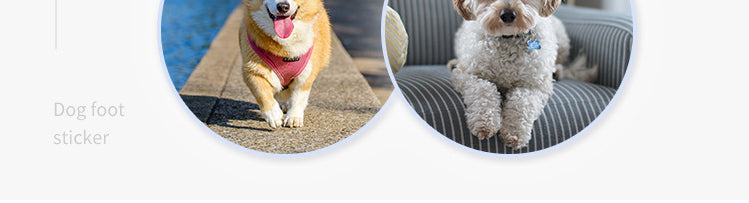4PCS Dog Anti Slip Pad Breathable Foot Pad Disposable Pet Foots Mat Prevent Slip Waterproof Protector Avoid Dogs Slipping Lootquake LLC