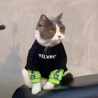 Pet Hoodies for Dogs Cats Solid Montage Puppy Clothing THRIXINE