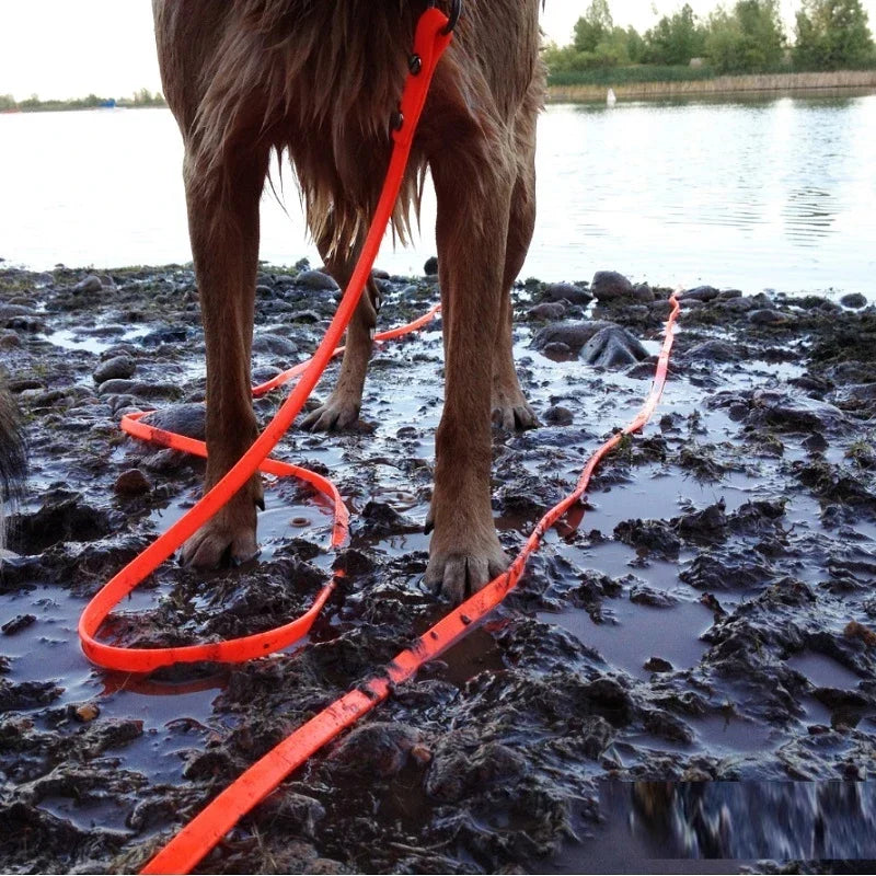 Waterproof Dog Leash Long Pvc Pet Leashes Easy To Clean Rope for Small Medium Large Big Dogs Walking Traning Lead 3m 5m10m 15m Lootquake LLC