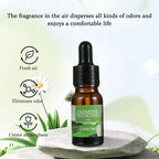 For Household Car Office Aromatherapy Ornaments Gifts Universal 10ML Air Freshener Natural Plant Fragrance Humidifier Lootquake LLC