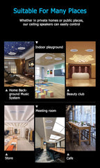 Built-in Class-D Amplifier Full Range Bluetooth-compatible Ceiling Speaker Horn For Home Theater Background Music Good Quality Lootquake LLC