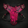 The ''Rock Python'' harness Small to Medium Size - SJB-DIAMOND ELITES