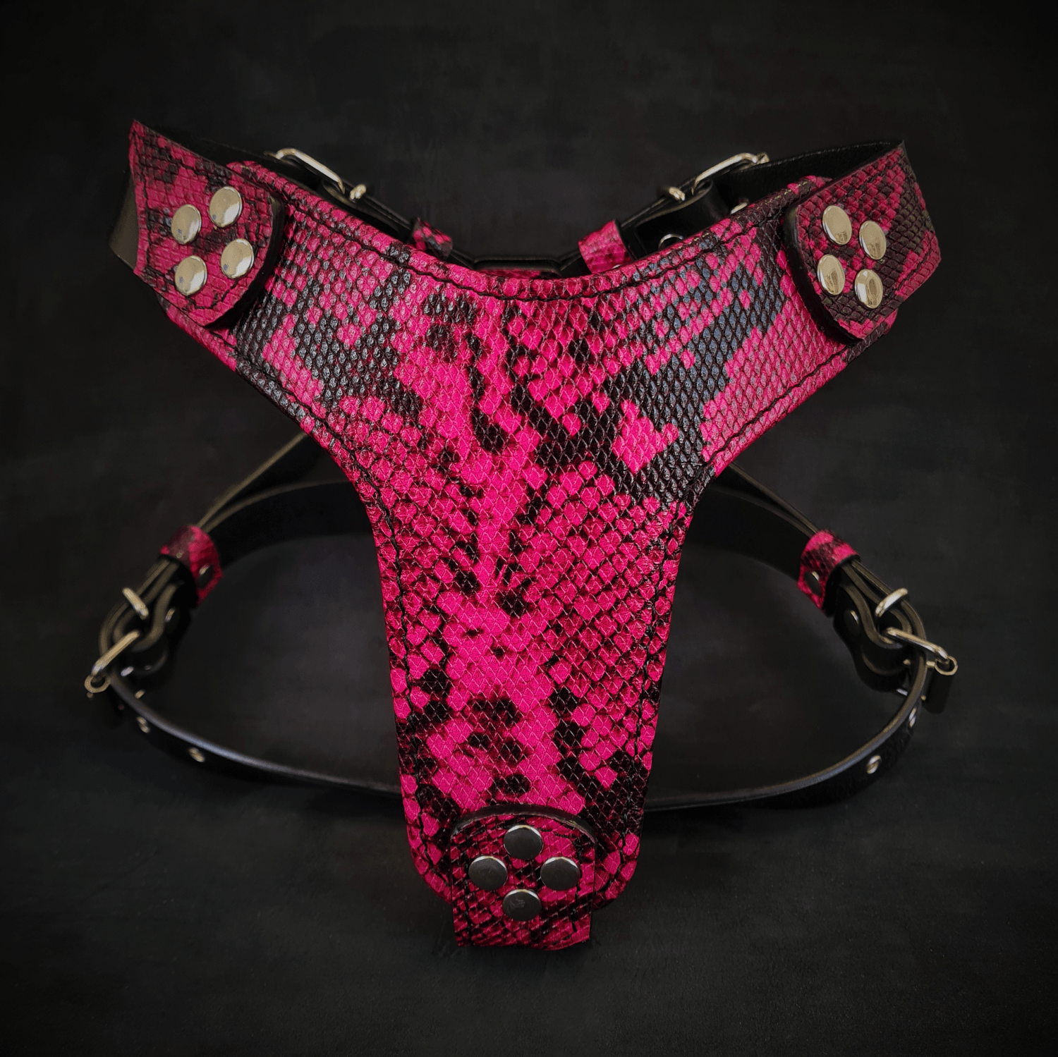 The ''Rock Python'' harness Small to Medium Size - SJB-DIAMOND ELITES