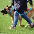 The Tactical Luxe Collar & Leash Fashioned Furbabies