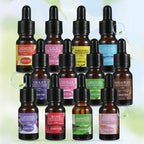 For Household Car Office Aromatherapy Ornaments Gifts Universal 10ML Air Freshener Natural Plant Fragrance Humidifier Lootquake LLC