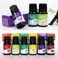 Natural Herb Essential Oils for Aroma Diffuser Air Humidifier Home Water-soluble 10ml Air Freshener Scents Fragrance Oil Perfume Lootquake LLC