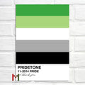 Abstract Pride Art Canvas Print Wall Decor LGBT Home Art Pi-Mart
