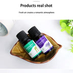 Natural Herb Essential Oils for Aroma Diffuser Air Humidifier Home Water-soluble 10ml Air Freshener Scents Fragrance Oil Perfume Lootquake LLC