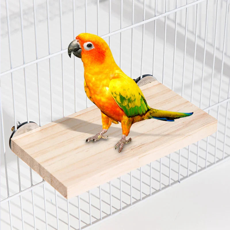 Wood Stand Platform Pet Bird Toys Parrot Rack Hamster Perches Paw Clean Cage Board Accessories for Gerbils Mice Wood Toys Lootquake LLC