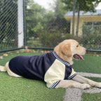 Big Dog Baseball Suit Fashioned Furbabies