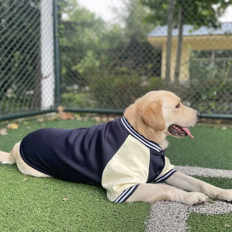 Big Dog Baseball Suit Fashioned Furbabies