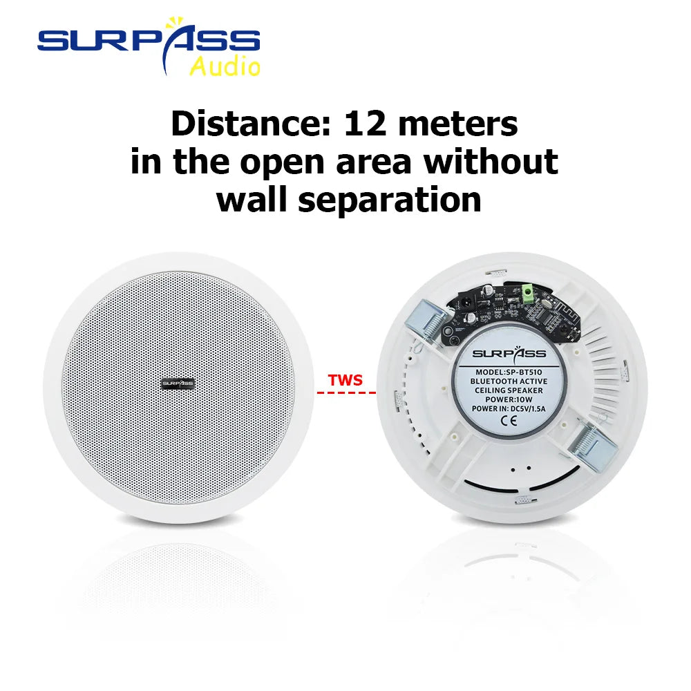 Built-in Class-D Amplifier Full Range Bluetooth-compatible Ceiling Speaker Horn For Home Theater Background Music Good Quality Lootquake LLC
