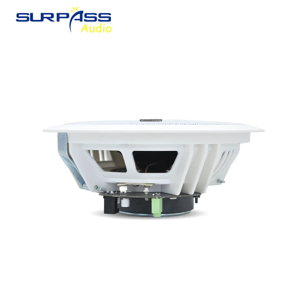 Built-in Class-D Amplifier Full Range Bluetooth-compatible Ceiling Speaker Horn For Home Theater Background Music Good Quality Lootquake LLC