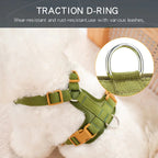 Retro Pet Harness - Adjustable PU Leather & Mesh Fashioned Furbabies