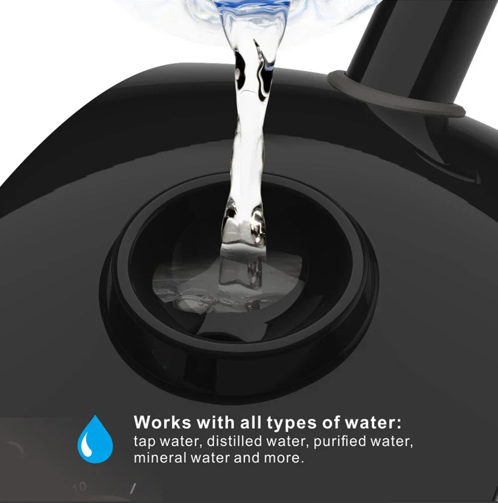 Skin Care Whitening Hot Facial Steamer Vaporizer Salon Home Spa SprayerWarm Mist Humidifier for Face Deep Cleaning Lootquake LLC