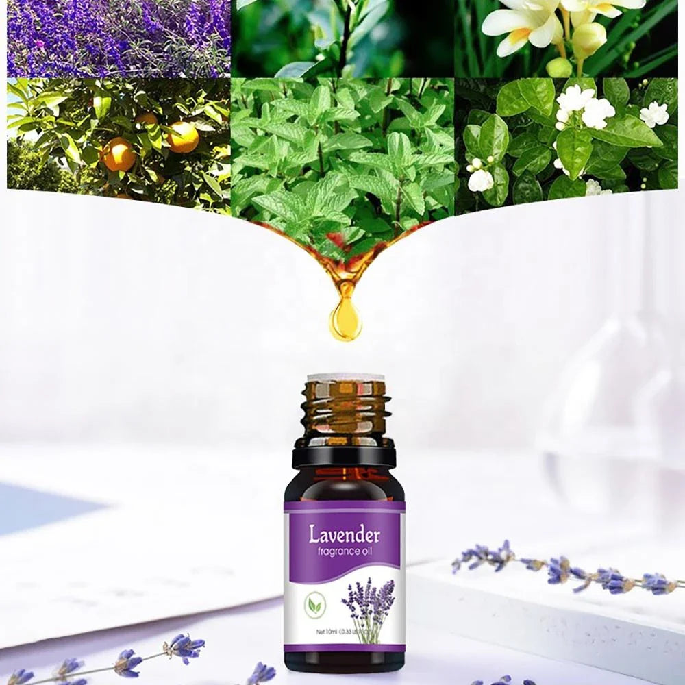 Natural Herb Essential Oils for Aroma Diffuser Air Humidifier Home Water-soluble 10ml Air Freshener Scents Fragrance Oil Perfume Lootquake LLC