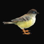 Animal Sculpture Collectible Handpainted DIY Crafts Simulation Bird Figurines for Tabletop Office Party Holiday Courtyard Lootquake LLC