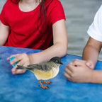 Animal Sculpture Collectible Handpainted DIY Crafts Simulation Bird Figurines for Tabletop Office Party Holiday Courtyard Lootquake LLC