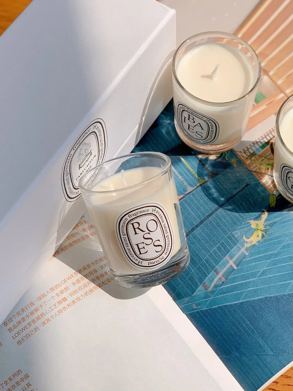 Aromatherapy Candle Natural Plant Scented Candles French Fragrance Fresh And Elegant Lasting Air Companion Aroma Gift Lootquake LLC