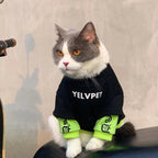 Pet Hoodies for Dogs Cats Solid Montage Puppy Clothing THRIXINE