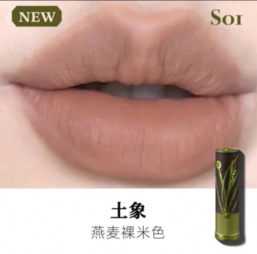 Girlcult Herbal Compendium Lipstick Matte Velvet Lip Clay Green Shimmer Lipgloss Moisturizing Longlasting Nostickup