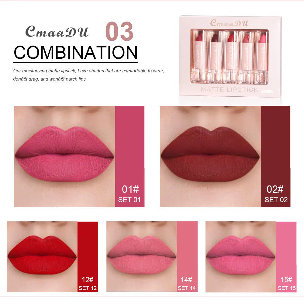 5 Pcs  Matte Lipstick Sets Lip Gloss Moisturizing Long-lasting Easy Makeup Fashion Classic Shades For Daily Date Exquisite Gift Lootquake LLC
