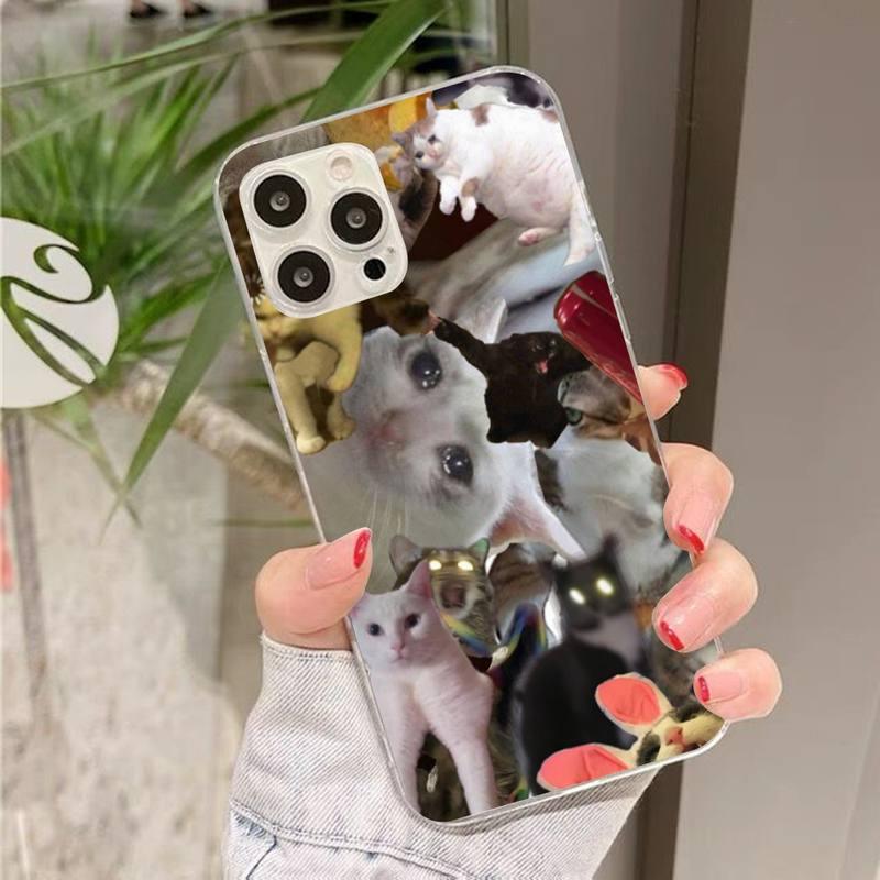 Crying Cat Memes Phone Case Mask Colorful Case For Cat Lovers For Iphone 7 And 8 In Moedern Design Stevvex