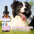 Pet Collagen Drops For Dogs And Cats Healthy Nutritional Supplement Protect Coat Enhance Body Condition Pet Nutritional Solution Lootquake LLC
