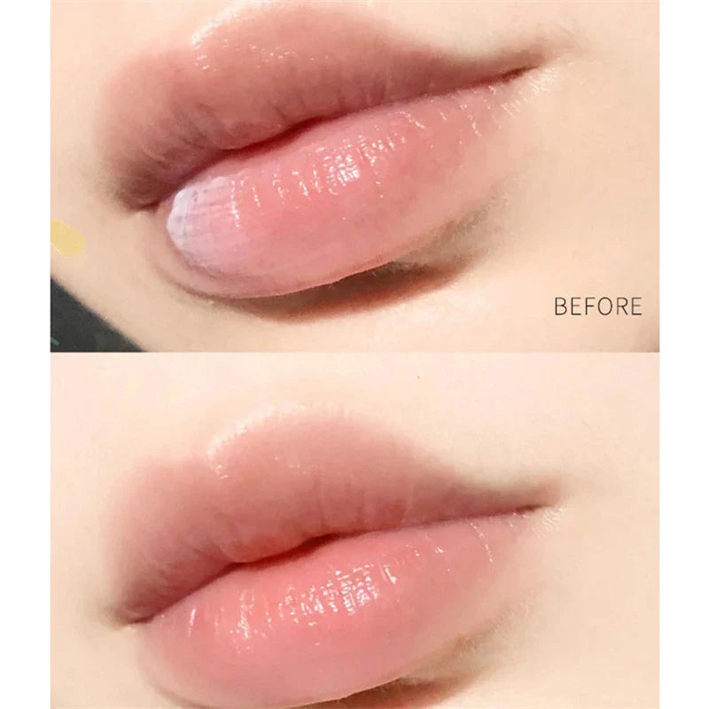 4pcs Natural Plant Lipstick Whitening Lipstick Base Moisturizing Cream Anti Crack Lip Care Jelly Color Makeup Lip Gloss Lootquake LLC