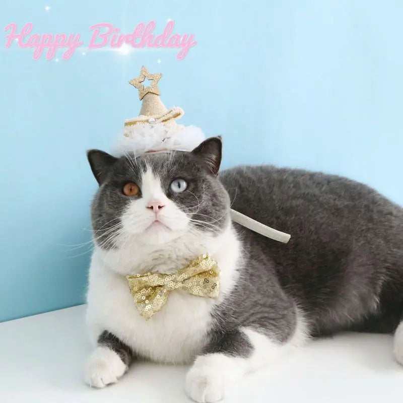 Pet Dog Birthday Party Dog Hat Candy Color Dot Lace Cat Bib Suit Cute Small Medium Dogs Costume Cap Pet Products Accessories Lootquake LLC