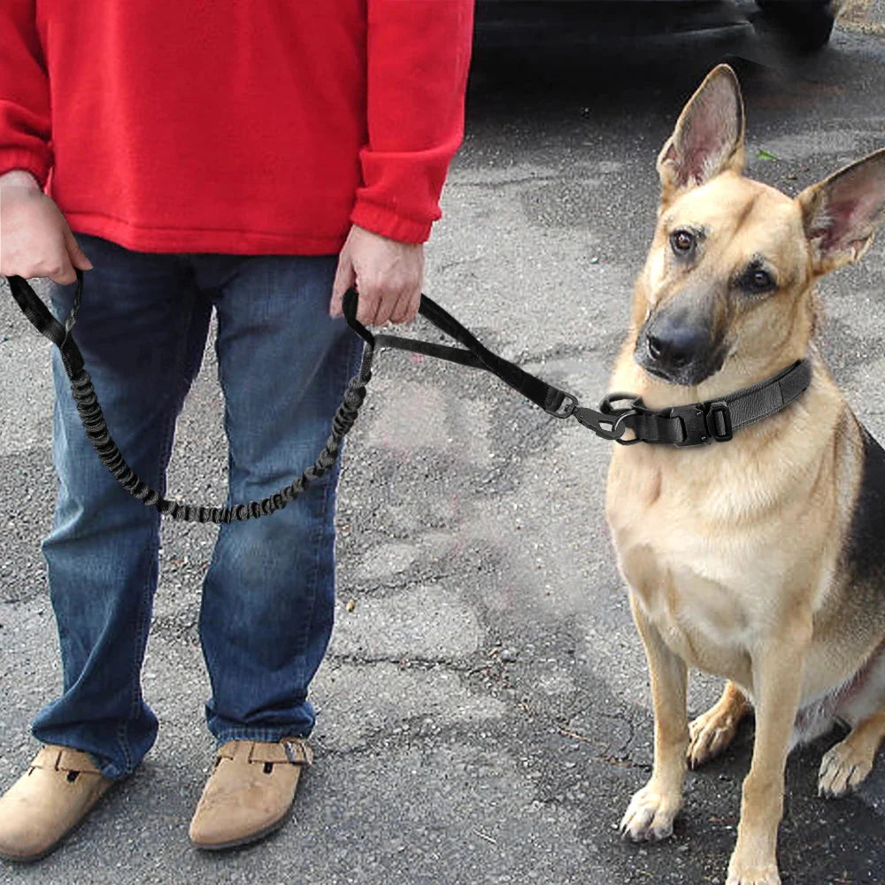 The Tactical Luxe Collar & Leash Fashioned Furbabies