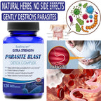 Balincer - Multivitamin to detoxify and support gut health - and protect immune health Lootquake LLC