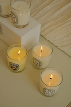 Aromatherapy Candle Natural Plant Scented Candles French Fragrance Fresh And Elegant Lasting Air Companion Aroma Gift Lootquake LLC