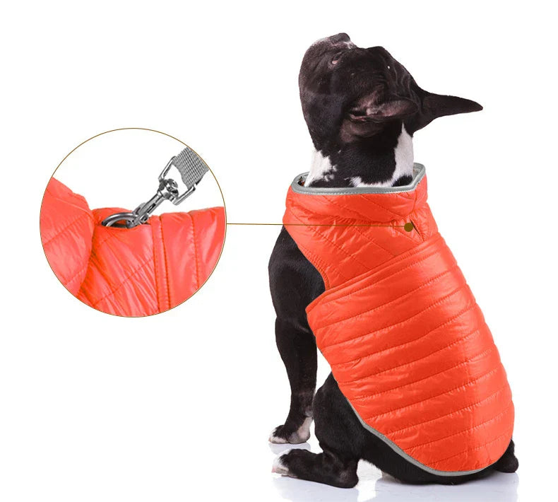 Double Sided Dog Coat Winter Warm Pet Dog Clothes For Small Medium Dogs Vest Chihuahua Clothing Soft Puppy Costumes Ropa Perro Lootquake LLC