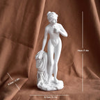 Classical Greek Goddess Statues - Small Artistic Figurines, Venus Sculptures for Office Bookcases and Living Room Decor Lootquake LLC